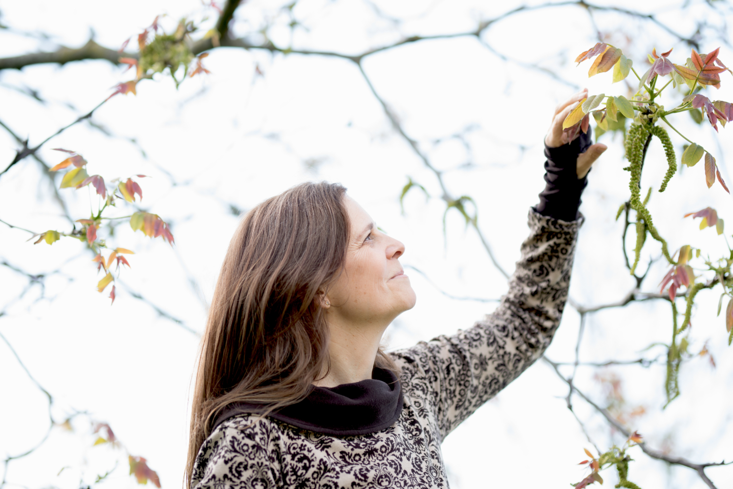 Heilpflanzen entdecken