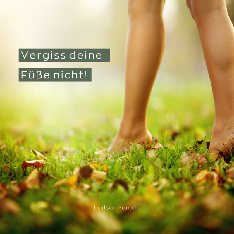 anke-randegger-heilsam-en-vergiss-deine-f-sse-nicht