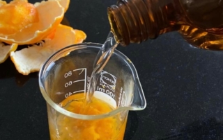 Mandarinenschale, Becherglas und Flasche mit Alkohol