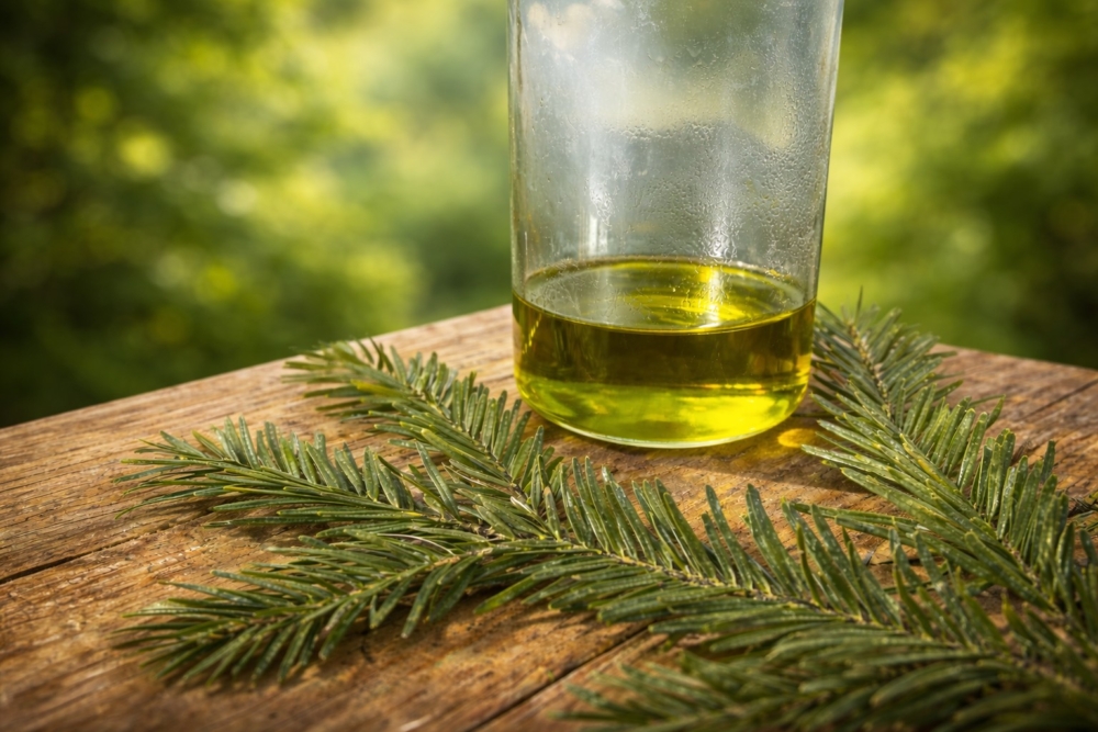 Tannenzweig auf Holz mit einem Becherglas mit grünem Oel drin