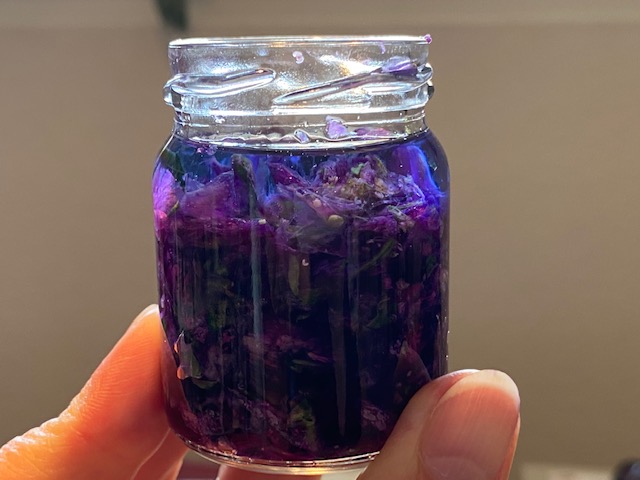 Durchsichtiges Glas mit violetter Flüssigkeit aus Malvenblüten und Alkohol
